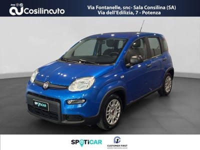 Fiat Panda 1.0 firefly hybrid s&amp;s 70cv 5p.ti del 2024 usata a Sala Consilina