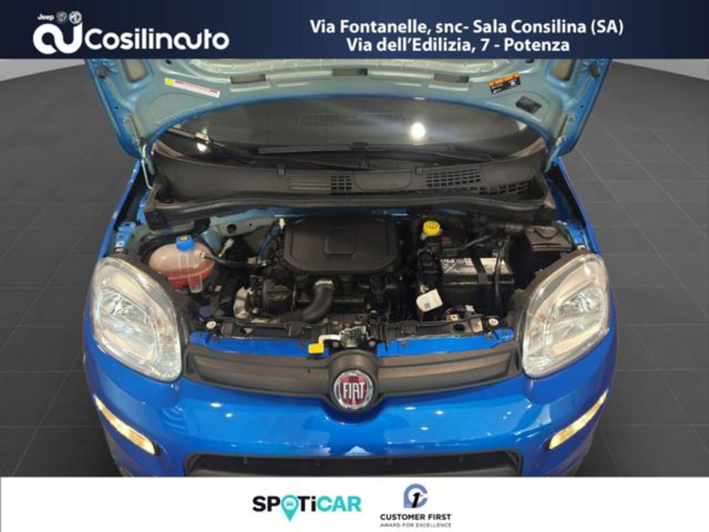 Fiat Panda usata a Salerno (17)
