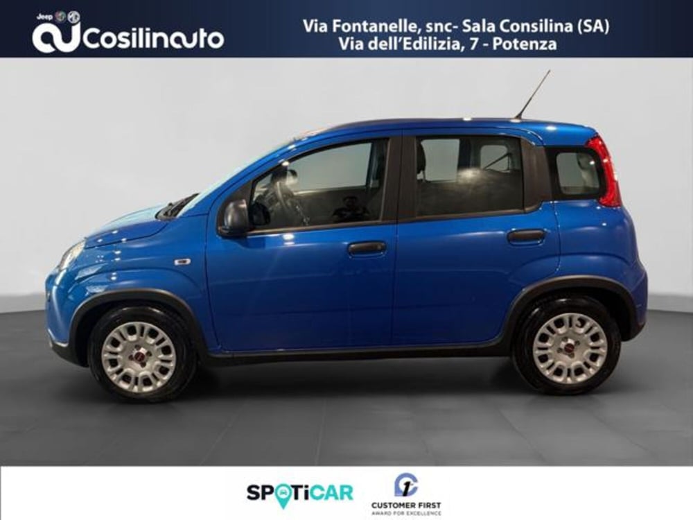 Fiat Panda usata a Salerno (2)