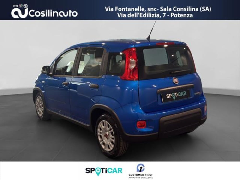 Fiat Panda usata a Salerno (3)