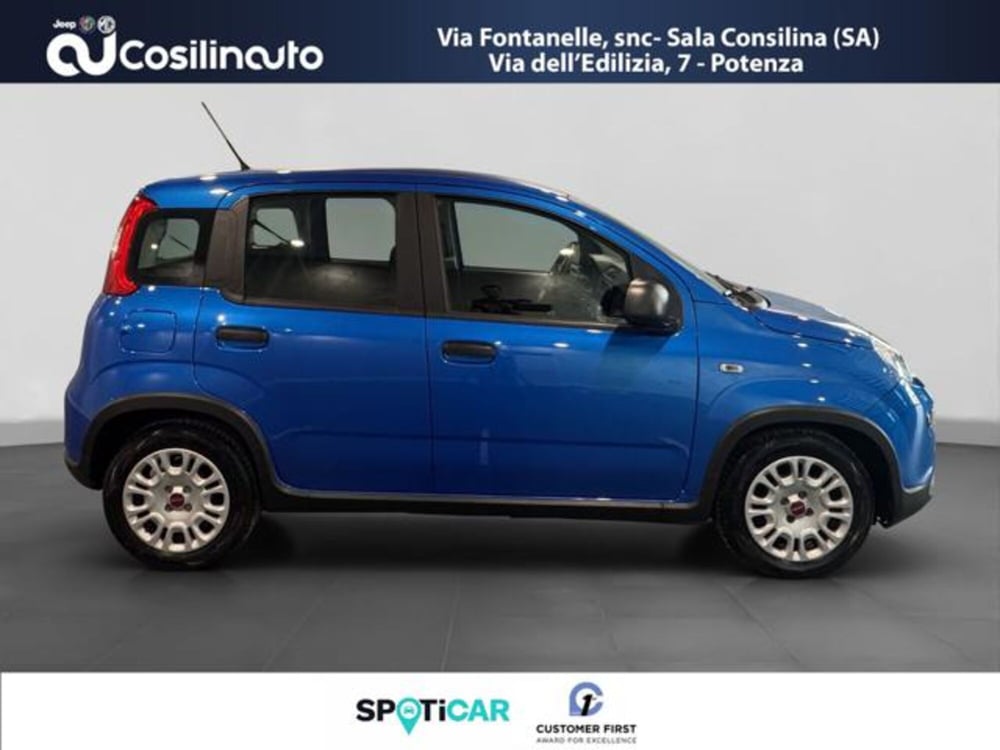 Fiat Panda usata a Salerno (6)