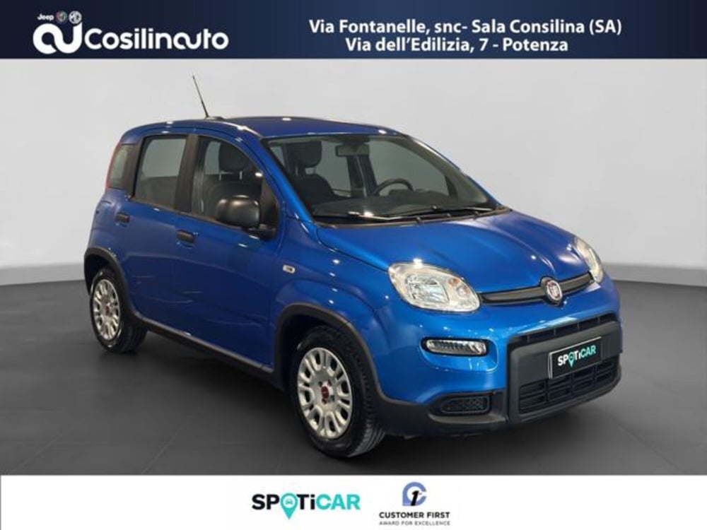 Fiat Panda usata a Salerno (7)