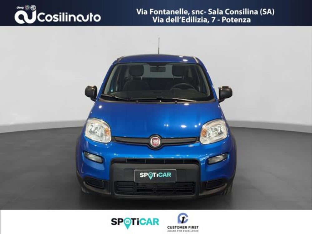 Fiat Panda usata a Salerno (8)