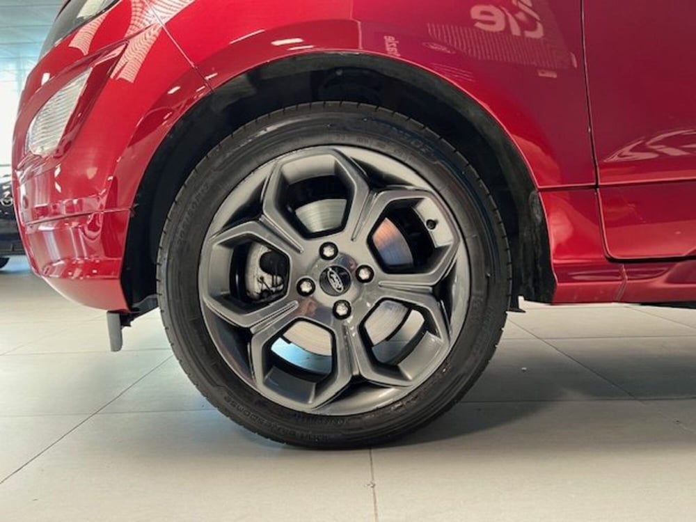 Ford EcoSport usata a Cuneo (16)