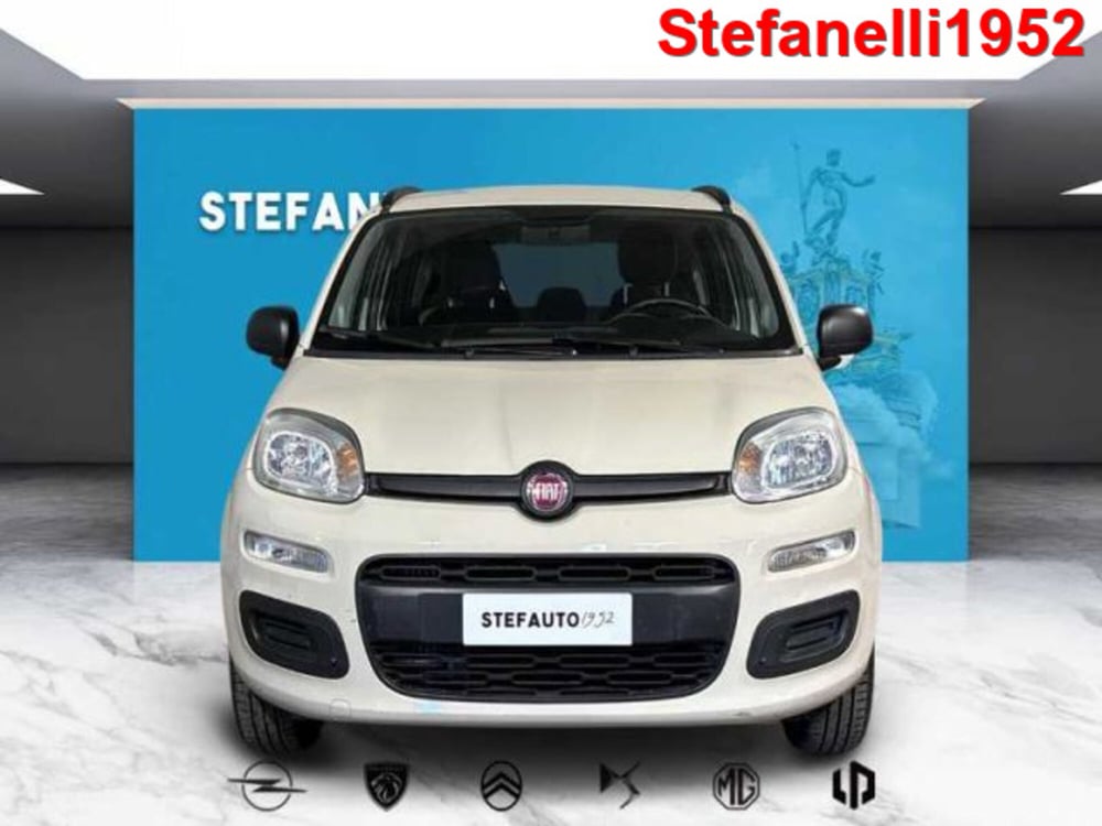 Fiat Panda usata a Bologna (2)