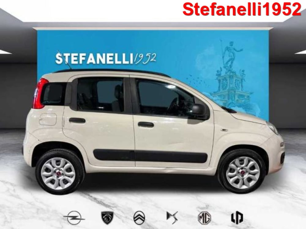 Fiat Panda usata a Bologna (3)