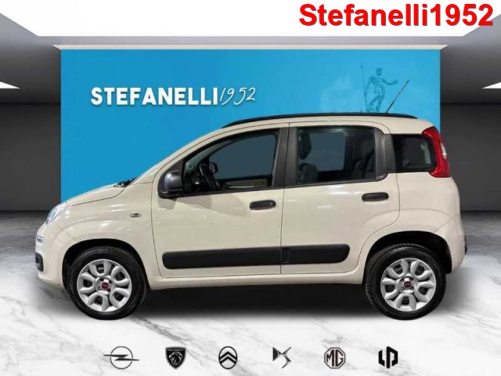 Fiat Panda usata a Bologna (4)