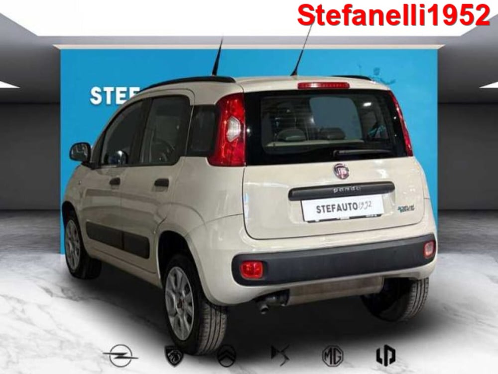 Fiat Panda usata a Bologna (5)