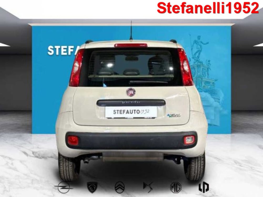 Fiat Panda usata a Bologna (6)