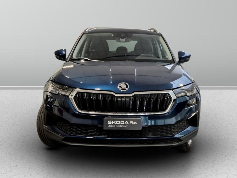 Skoda Karoq usata a Padova (7)