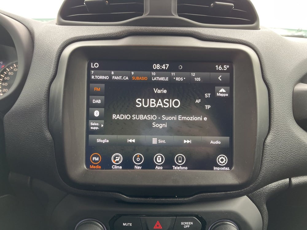 Jeep Renegade usata a Torino (14)
