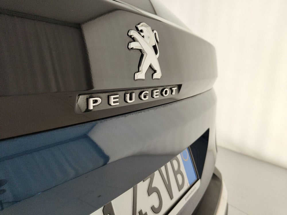 Peugeot 3008 usata a Caserta (10)