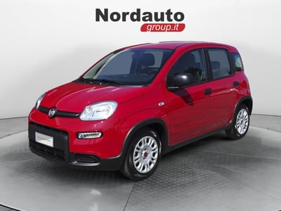 Fiat Panda Cross Cross 1.0 FireFly S&amp;S Hybrid del 2024 usata a Montebelluna