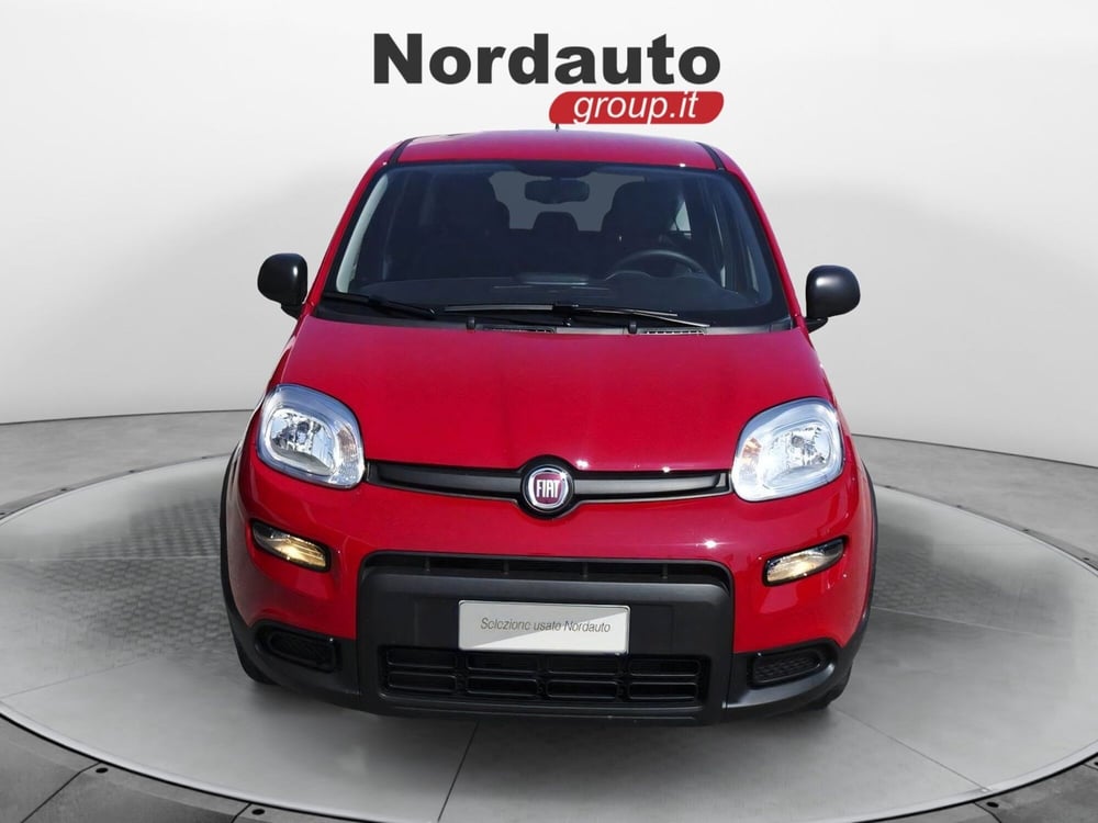 Fiat Panda Cross usata a Treviso (2)
