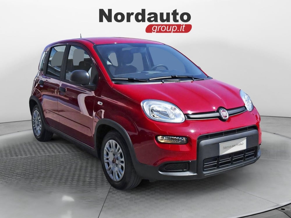 Fiat Panda Cross usata a Treviso (3)
