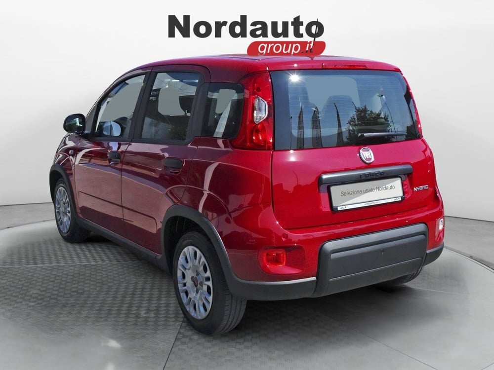 Fiat Panda Cross usata a Treviso (5)