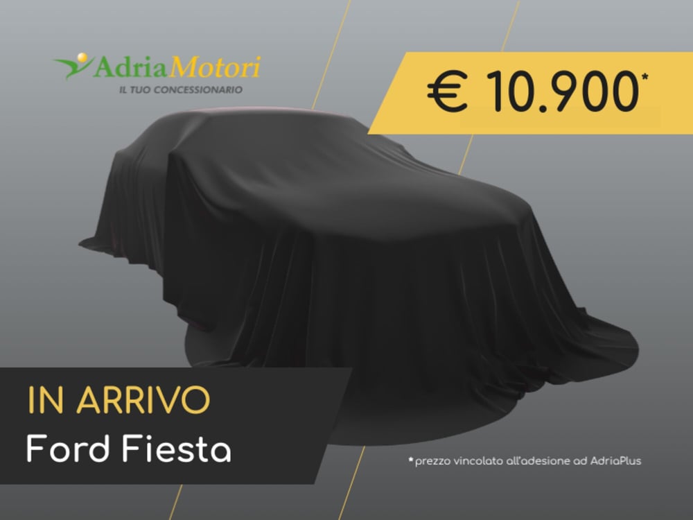 Ford Fiesta usata a Pordenone