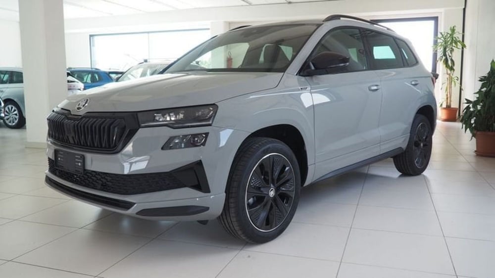 Skoda Karoq nuova a Torino (2)