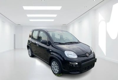 Fiat Panda Cross Cross 1.0 FireFly S&amp;S Hybrid nuova a Latina
