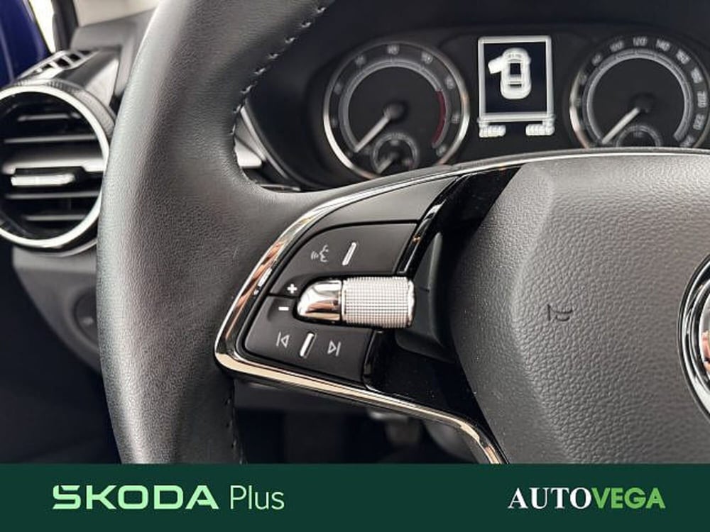 Skoda Fabia usata a Vicenza (17)