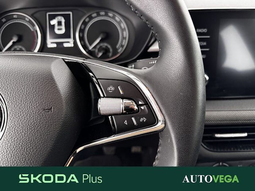 Skoda Fabia usata a Vicenza (18)