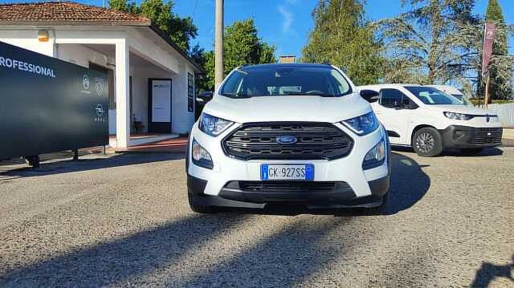 Ford EcoSport usata a Firenze (14)