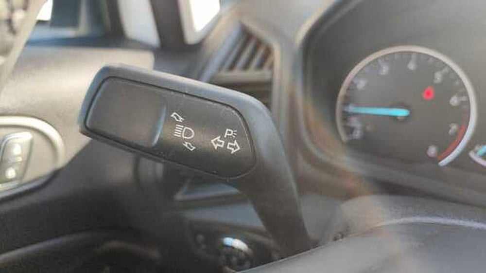 Ford EcoSport usata a Firenze (19)