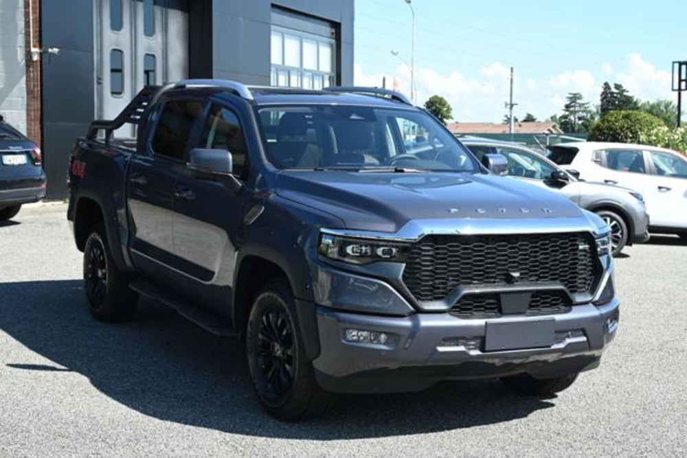 Foton Tunland nuova a Torino (4)