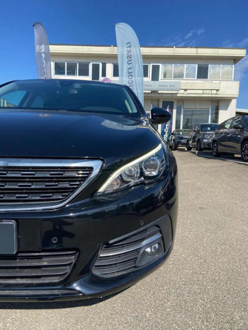 Peugeot 308 SW usata a Firenze (16)