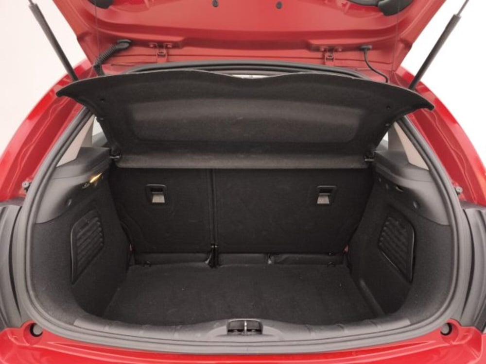 Citroen C3 usata a Torino (18)