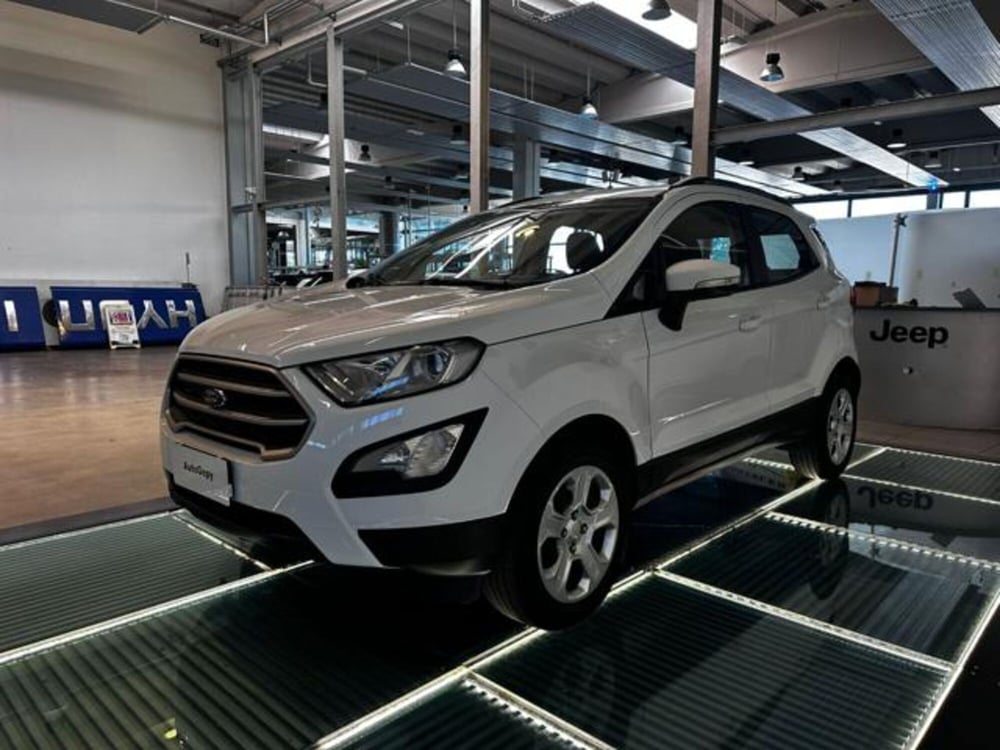 Ford EcoSport usata a Reggio Emilia (3)
