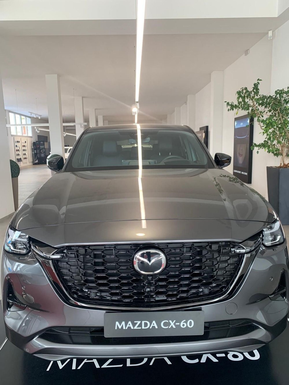 Mazda CX-60 nuova a Cremona (16)
