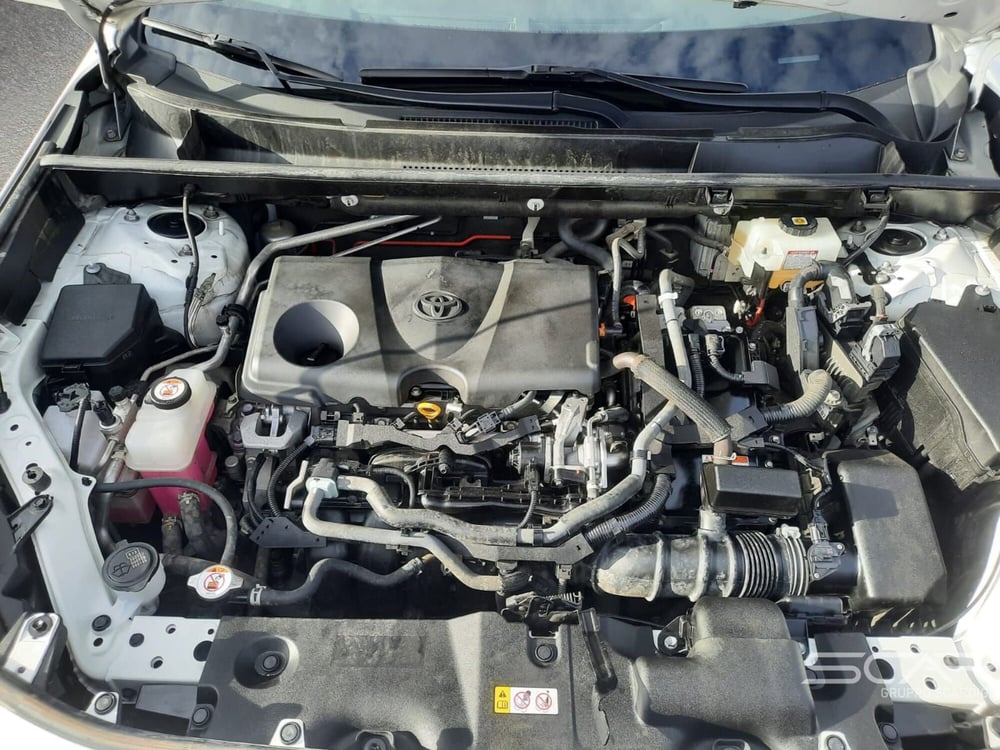 Toyota Rav4 usata a Livorno (10)