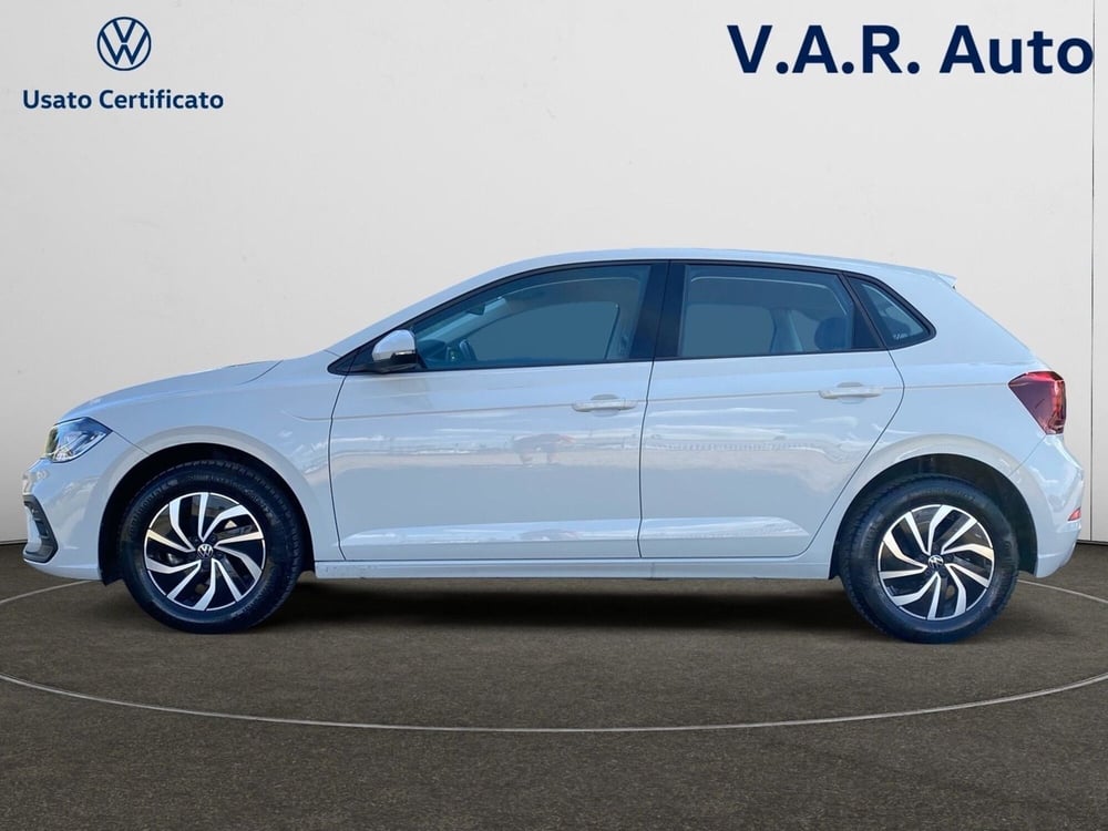 Volkswagen Polo usata a Bologna (2)