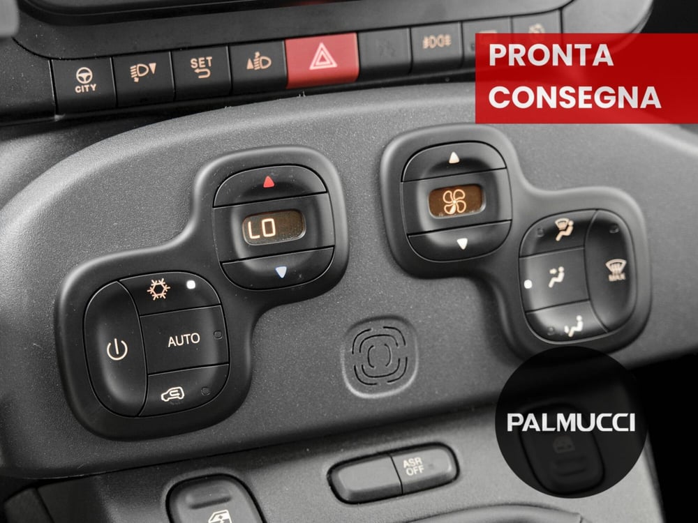 Fiat Panda Cross usata a Prato (13)