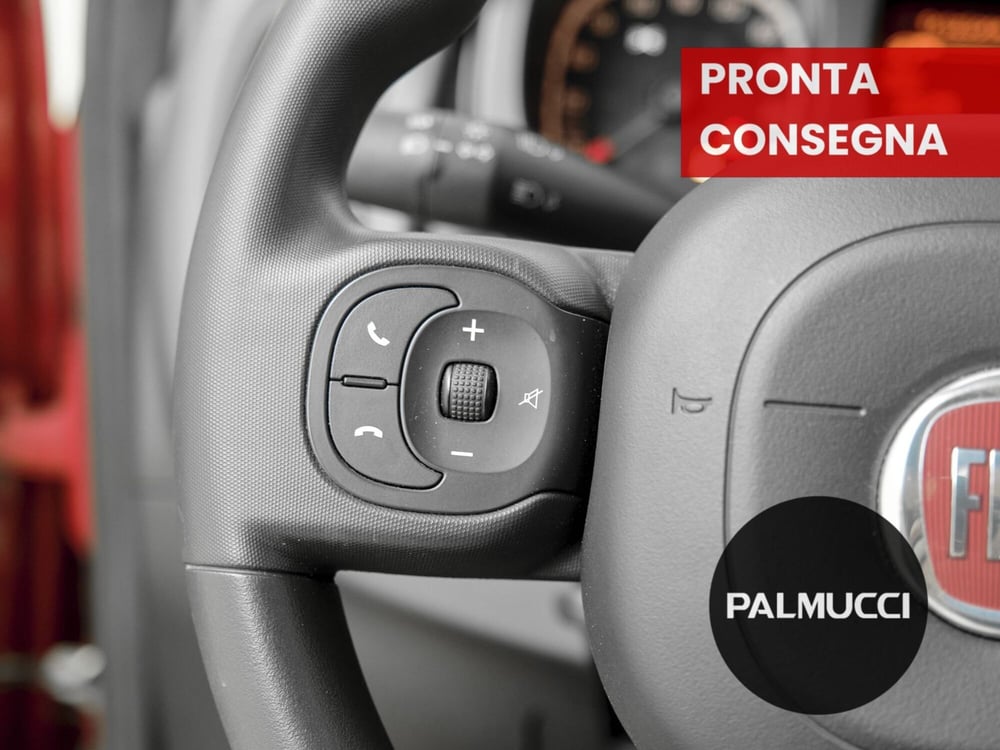 Fiat Panda Cross usata a Prato (14)