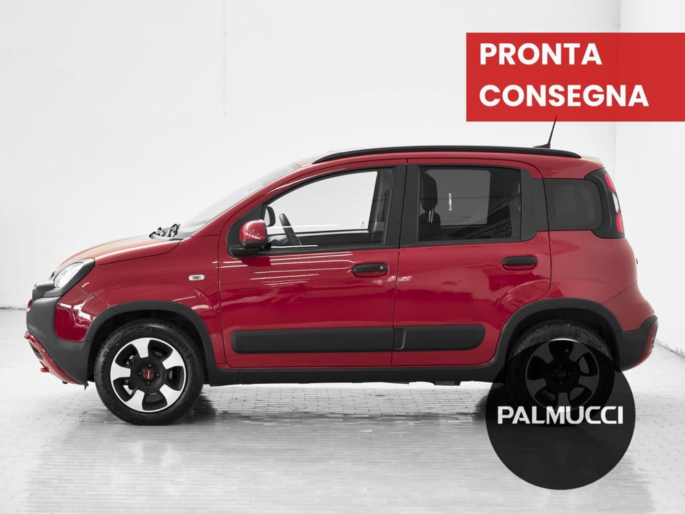 Fiat Panda Cross usata a Prato (3)