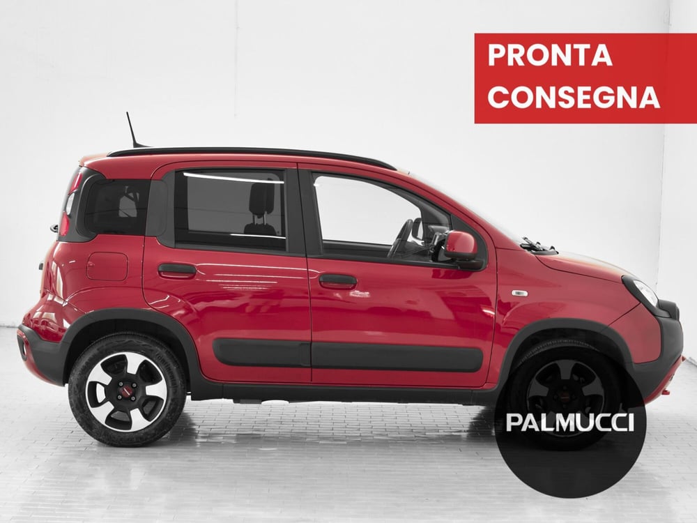 Fiat Panda Cross usata a Prato (4)