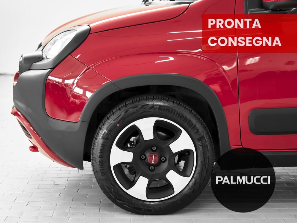 Fiat Panda Cross usata a Prato (6)
