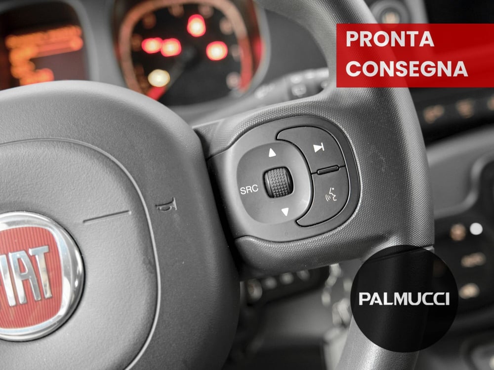 Fiat Panda Cross usata a Prato (8)