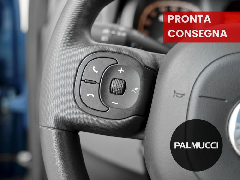 Fiat Panda Cross usata a Prato (10)