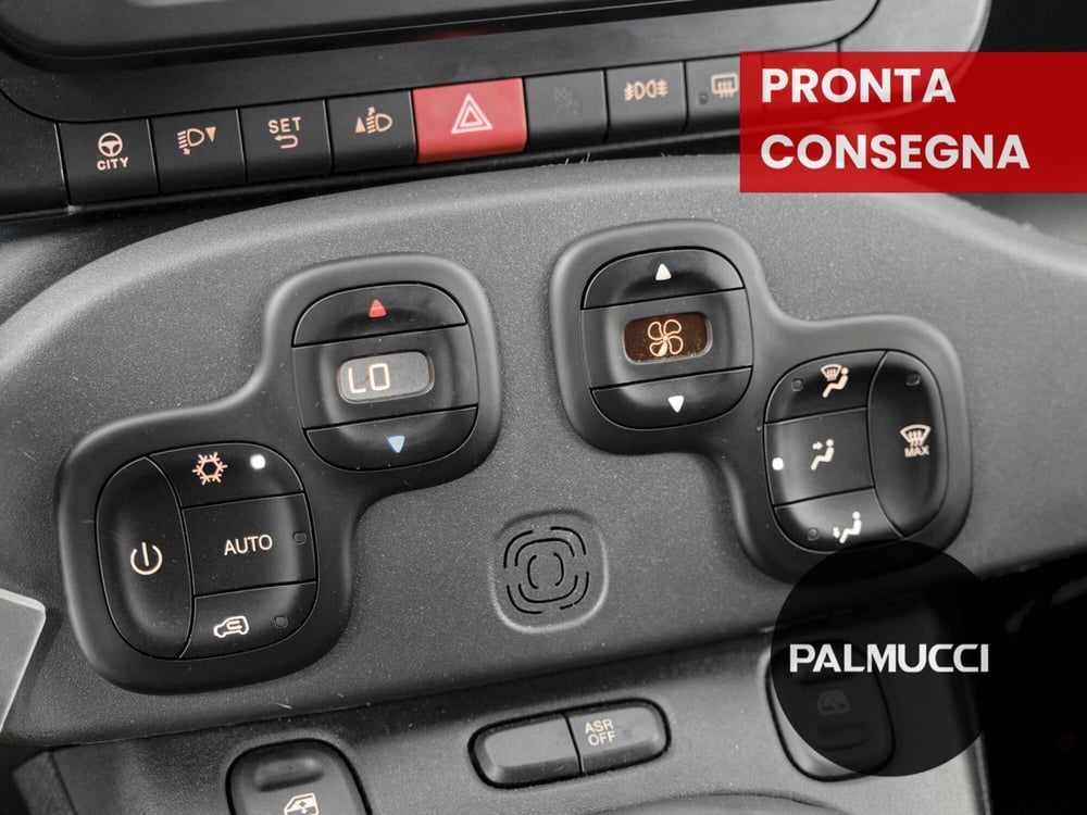 Fiat Panda Cross usata a Prato (11)