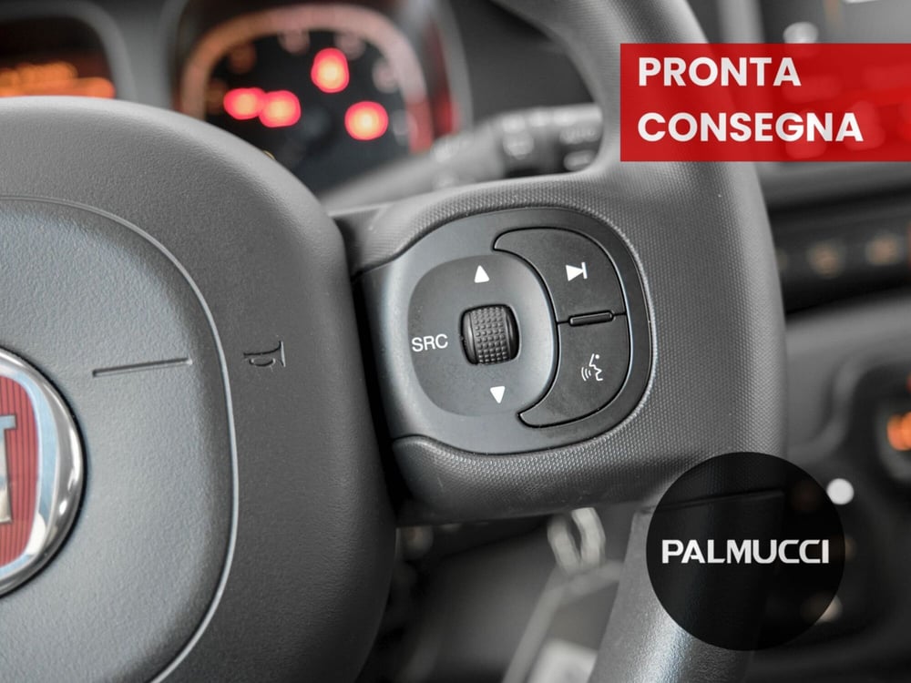 Fiat Panda Cross usata a Prato (12)