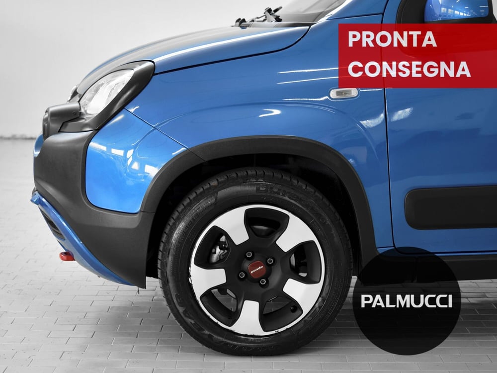 Fiat Panda Cross usata a Prato (6)