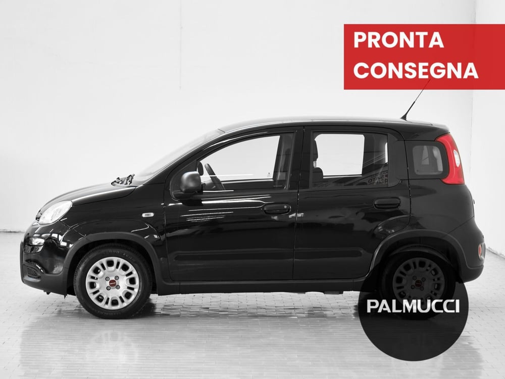 Fiat Panda Cross usata a Prato (3)