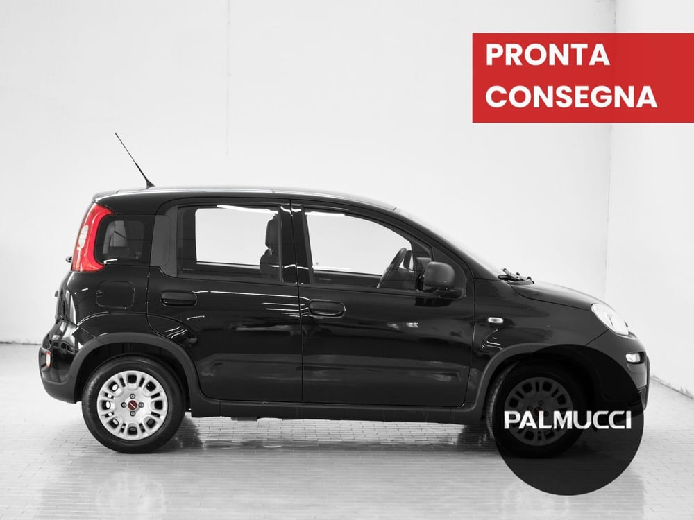Fiat Panda Cross usata a Prato (4)