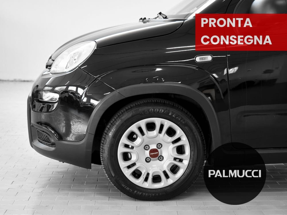 Fiat Panda Cross usata a Prato (6)
