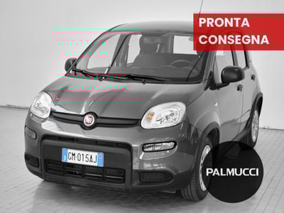 Fiat Panda Cross Cross 1.0 FireFly S&amp;S Hybrid del 2023 usata a Prato