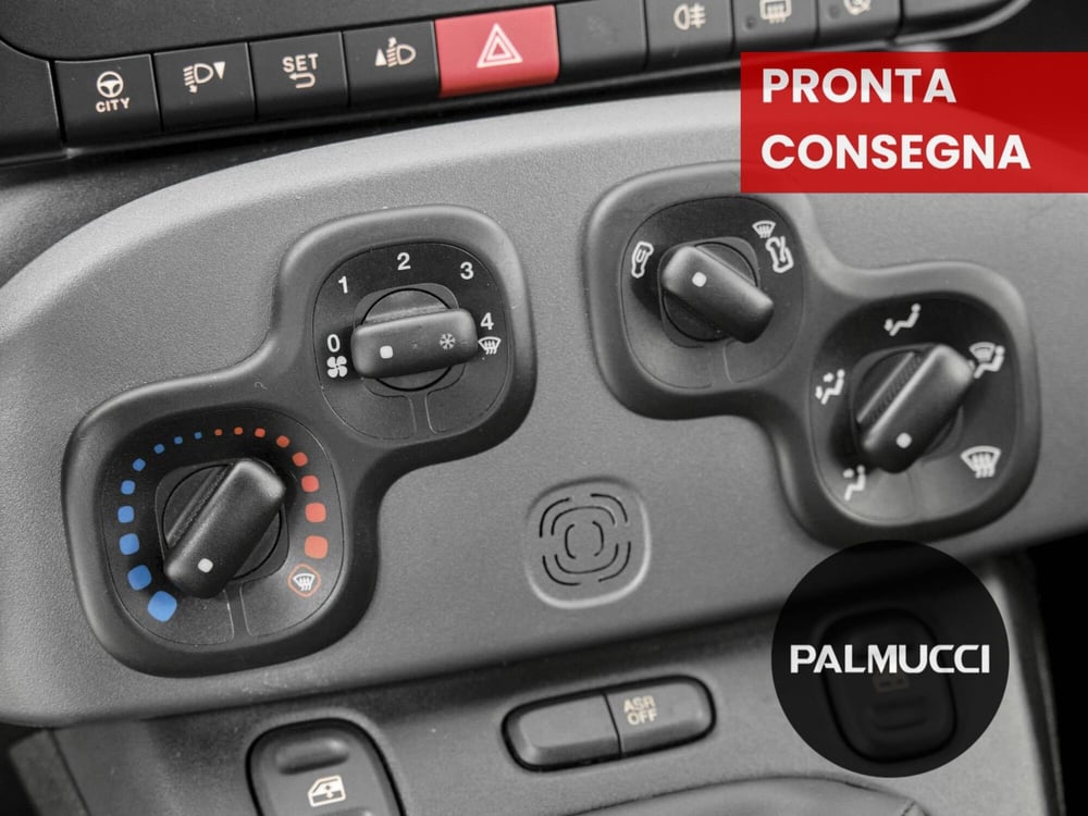 Fiat Panda Cross usata a Prato (12)