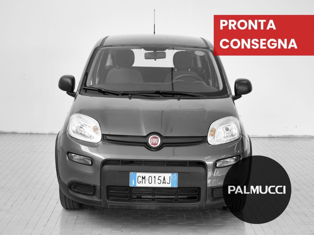 Fiat Panda Cross usata a Prato (2)